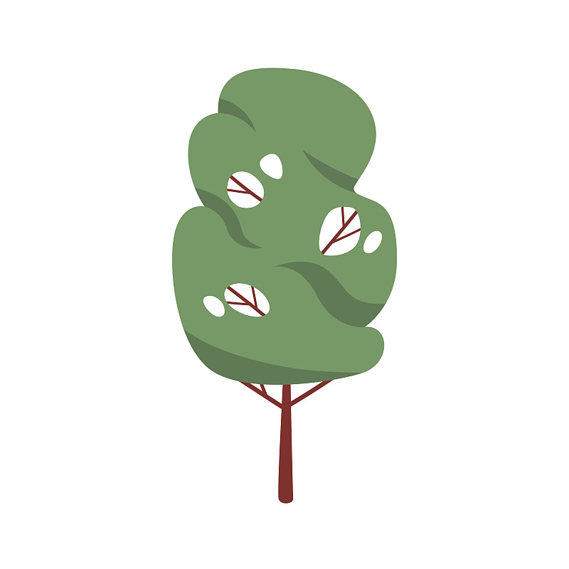 落叶林木，树冠和树干多叶插画图片