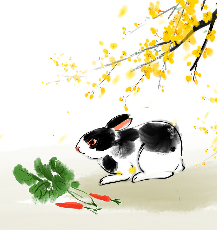 中国画十二生肖大全套共600多幅水墨画-生肖兔系列图片下载