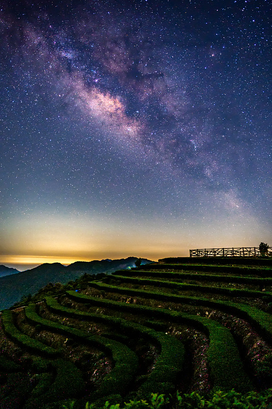 银河下的茶园，梅州图片下载