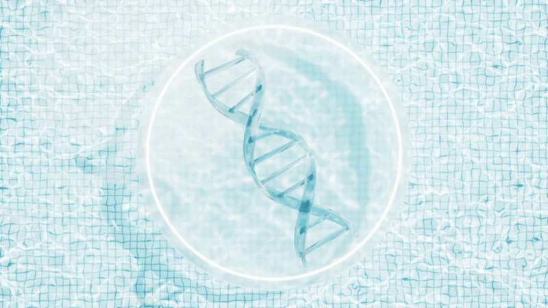 水面DNA结构医疗护肤品循环动画3D渲染图片下载