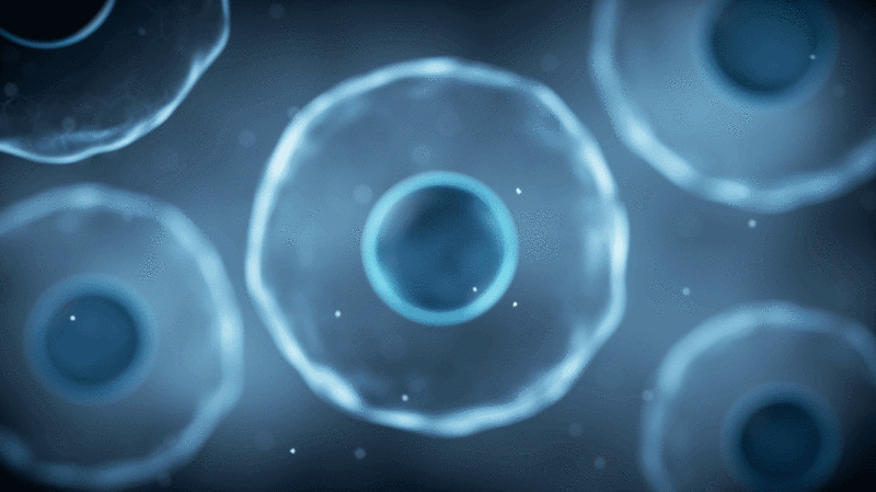 生物科技概念细胞结构3D渲染插画下载