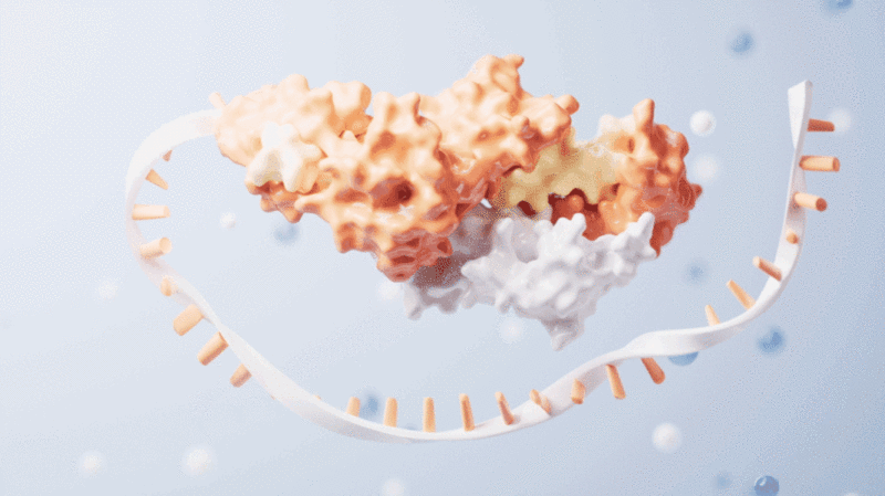生物科技概念RNA基因3D渲染图片下载