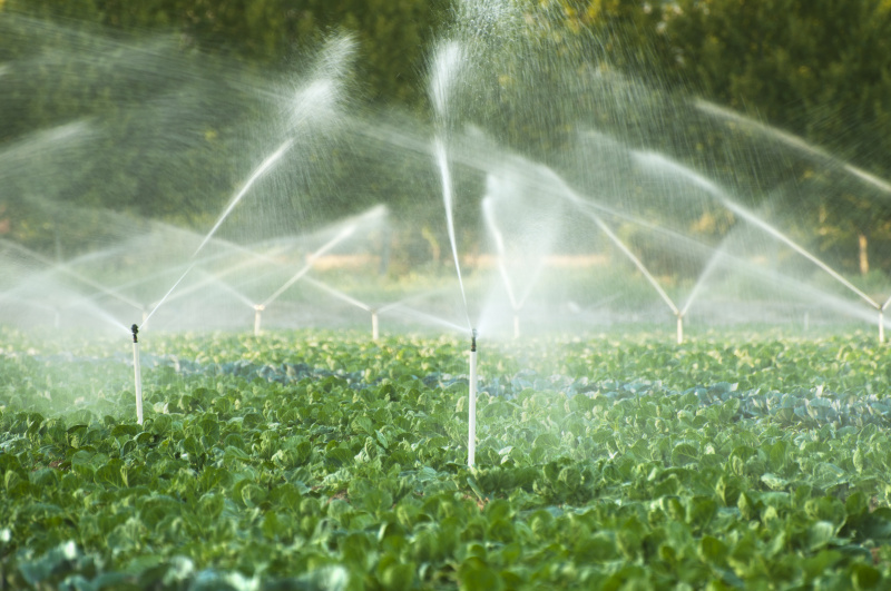 菜园中的灌溉系统图片素材