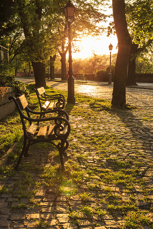 日落时维也纳公园的长椅图片下载
