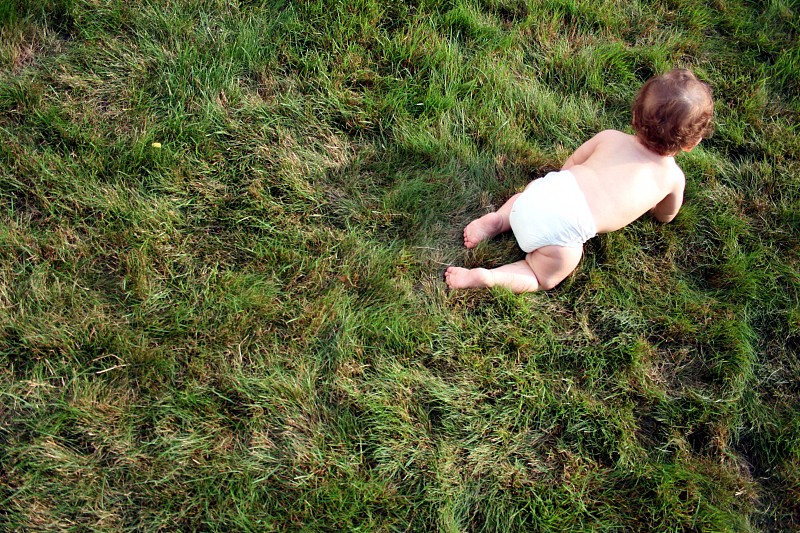 婴儿在草丛中爬行图片下载