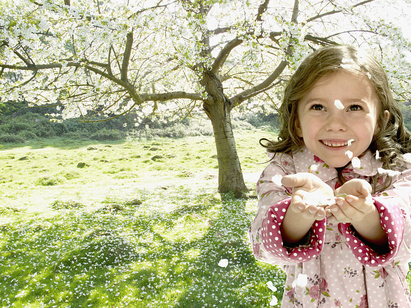 女孩从树上摘下花瓣图片下载