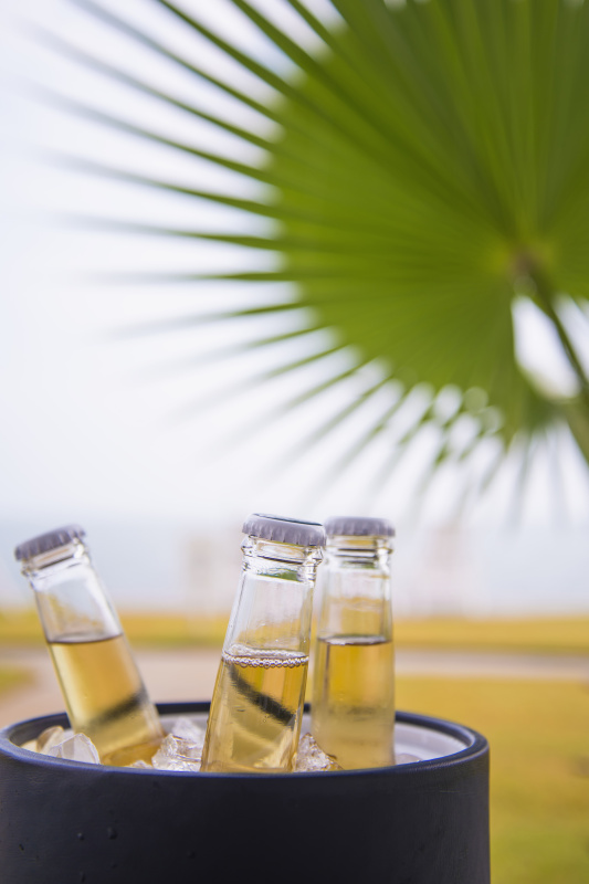美国德克萨斯州，棕榈树叶前的冰桶里装着啤酒瓶图片素材