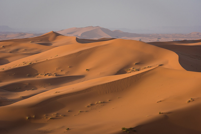 Erg Chebbi沙丘在摩洛哥撒哈拉沙漠日出图片下载