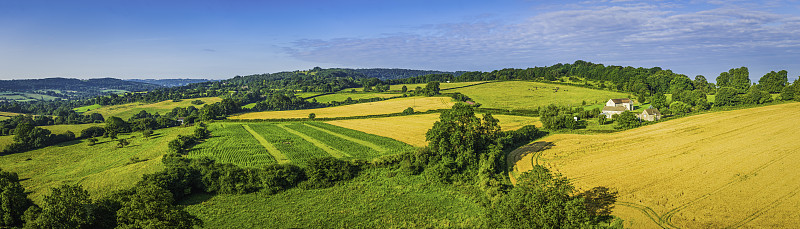 田园诗般的乡村景观，绿色的夏季田野，金色的庄稼航拍全景图片素材