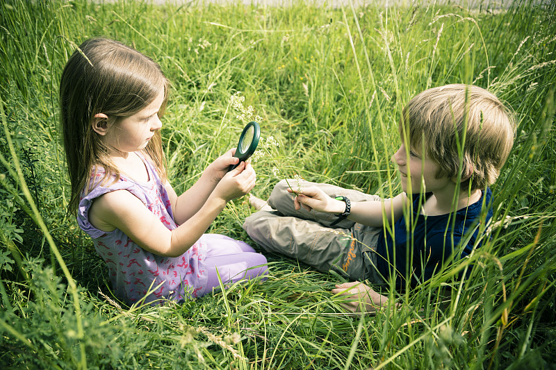 哥哥和妹妹坐在草地上玩放大镜图片下载