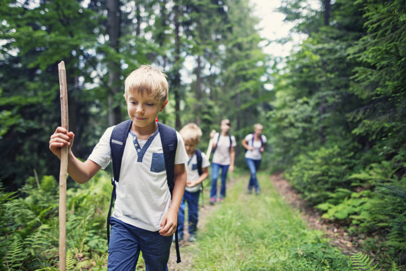 小男孩和他的家人在森林里徒步旅行图片素材