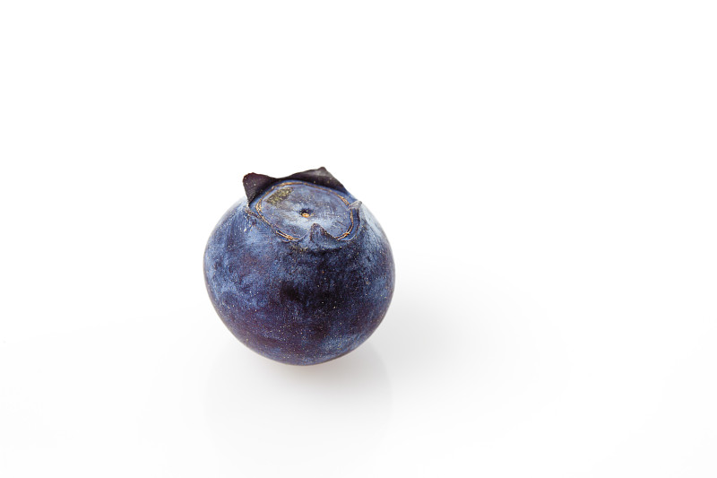 蓝莓,Vaccinium myrtillus图片下载