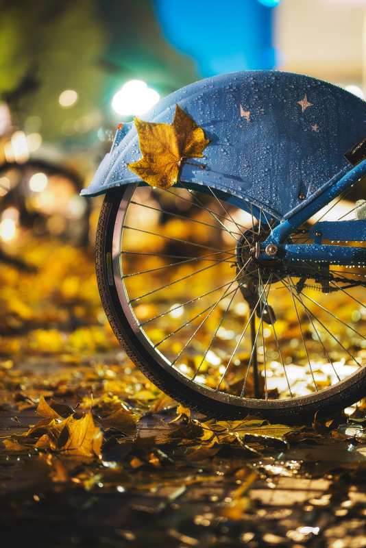 秋雨之夜，落叶粘在公共自行车上图片下载