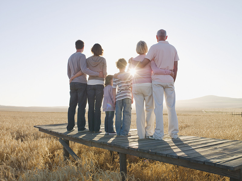 一家人站在遥远的麦田里的木码头上图片素材