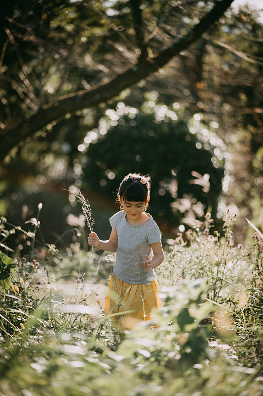 可爱的年轻女孩走过高草在太阳，东京图片下载