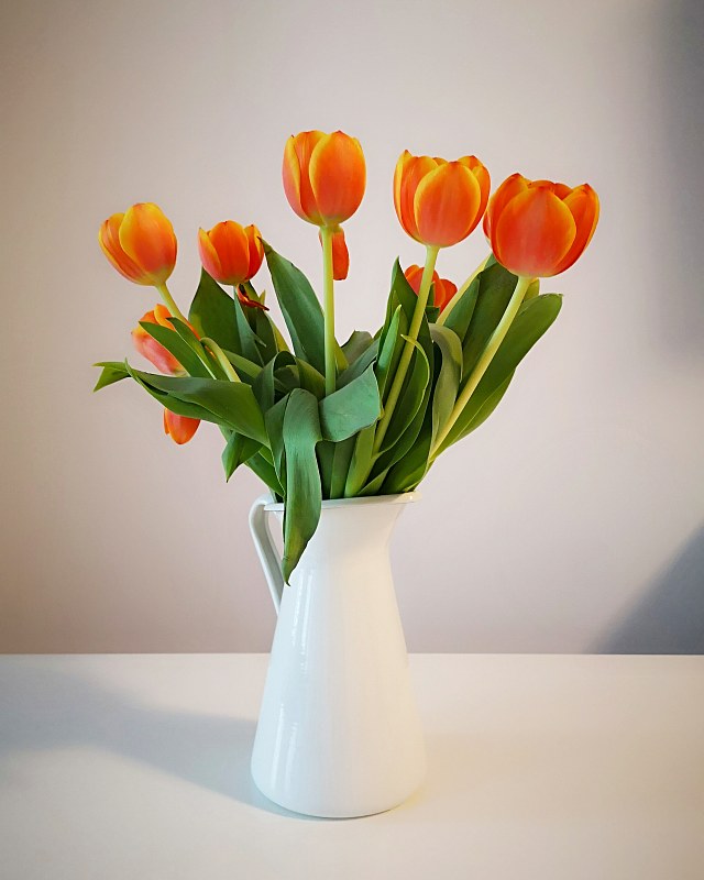 桌上花瓶里的郁金香花束的特写图片素材