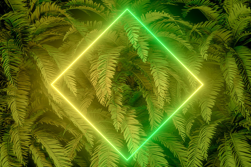3d空框架与霓虹灯和棕榈树的背景，夏季概念图片素材