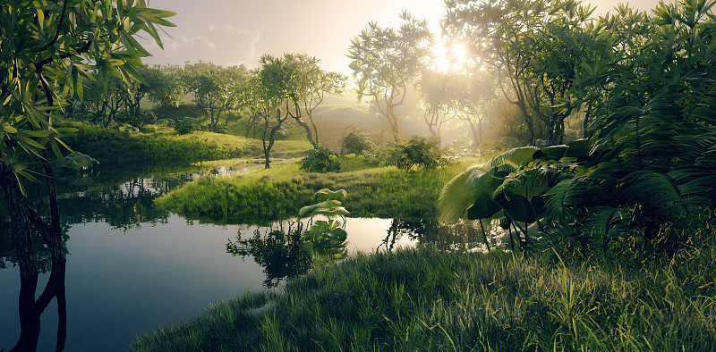 新鲜的绿色天堂风景-亚马逊热带雨林环境与平静的河流在美丽的日落光线。3 d渲染。图片下载