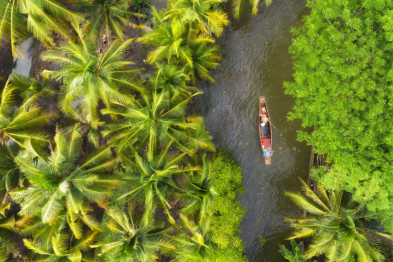 在椰子树上划船的不认识的人图片素材
