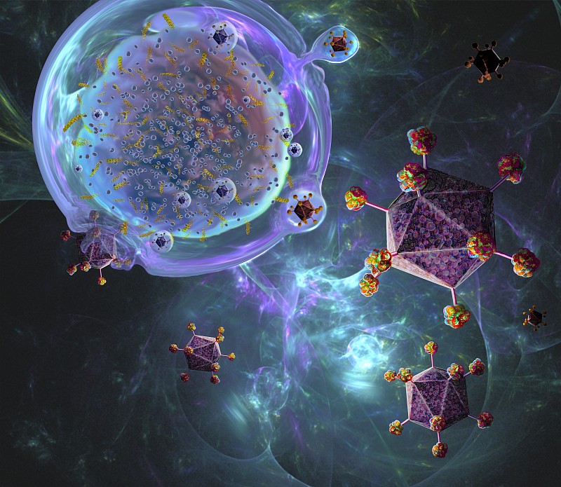 CAR - T细胞免疫治疗，说明图片素材