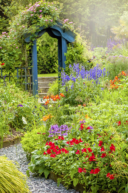 美丽的英式小屋，夏日花园，蓝色木质拱门，在柔和的阳光下图片下载