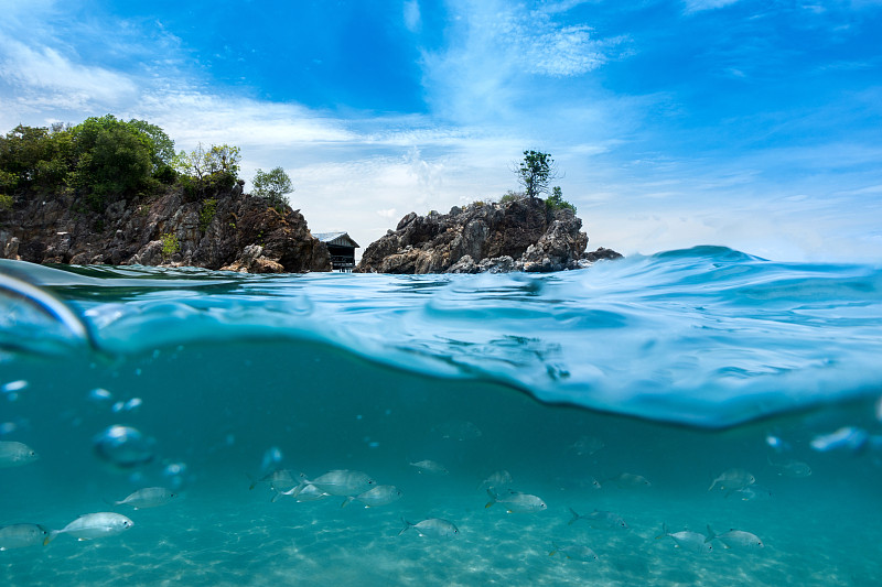 一群鱼在海附近的岛屿游泳，普吉岛的夏天，泰国，kokhai岛。图片下载