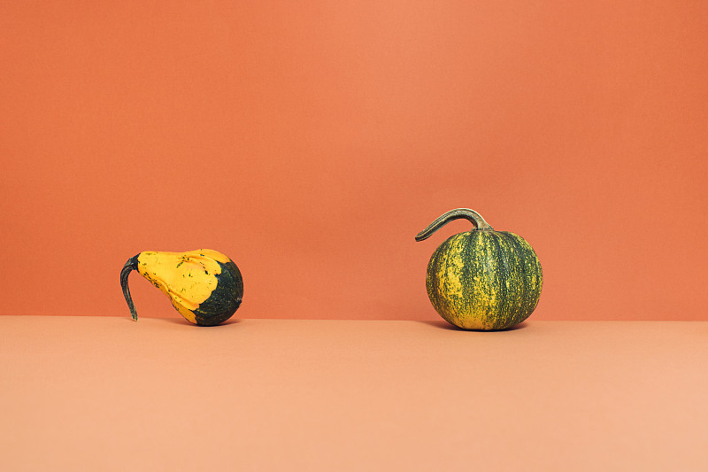 两个不同的南瓜在橙色背景与复制空间。简约的秋天或感恩节概念。秋季创意。抽象的美在缤纷的秋天十月。图片下载