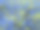 天蓝色白花石斛(Lithospermum diffusum)在联合国教科文组织生物圈保护区提契诺瓦尔格兰德韦尔巴诺马giore湖畔开花摄影图片