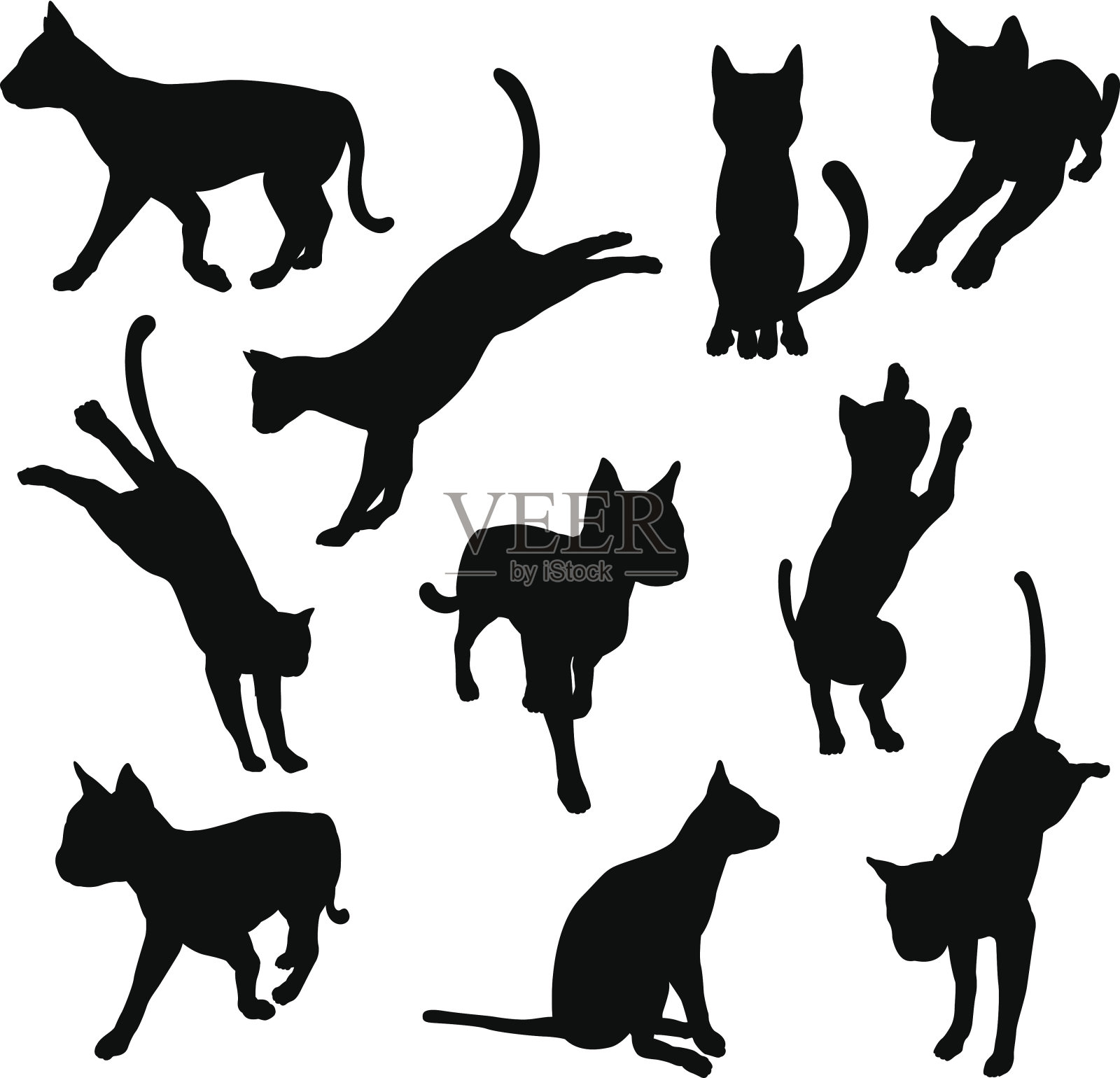宠物猫的轮廓插画图片素材