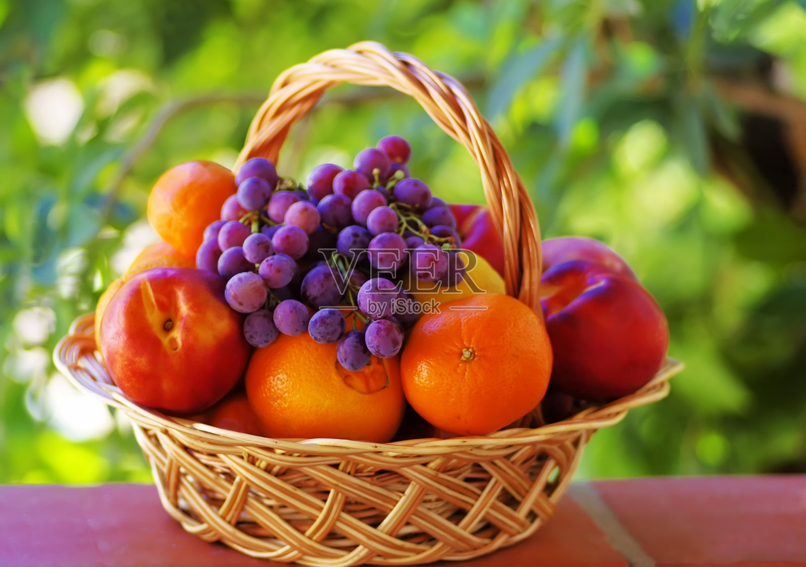 柑橘类水果和葡萄照片摄影图片