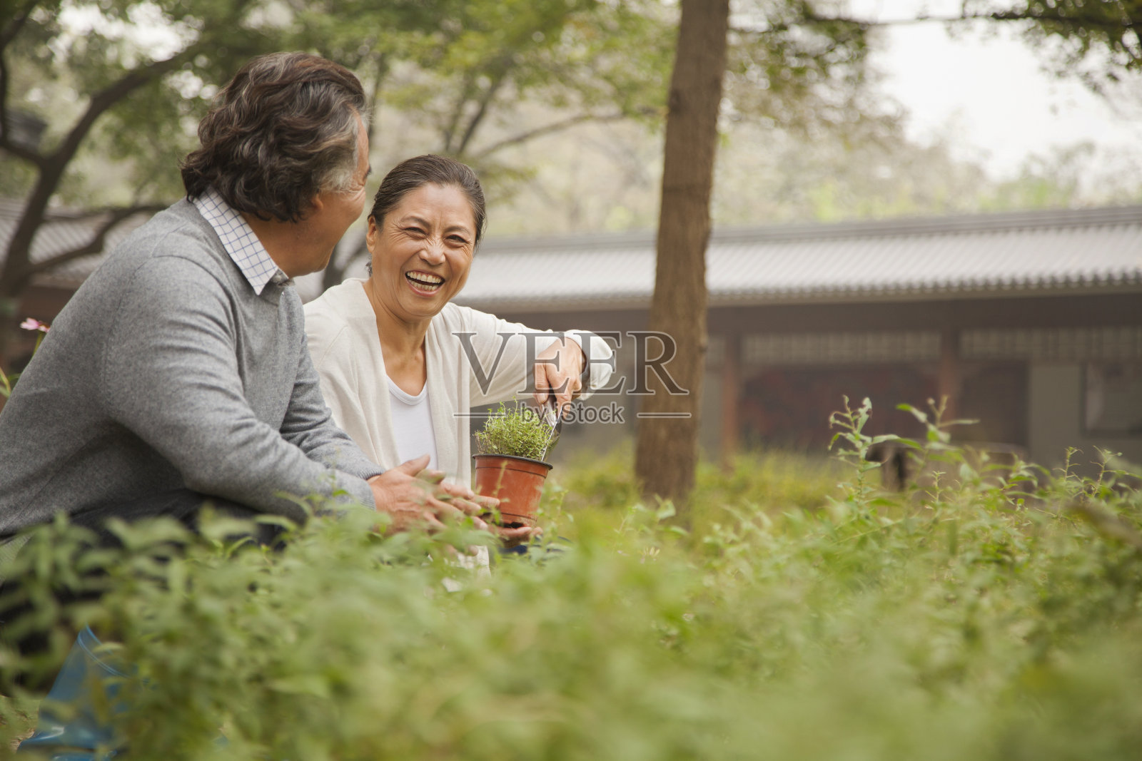 微笑的老年夫妇在花园里照片摄影图片