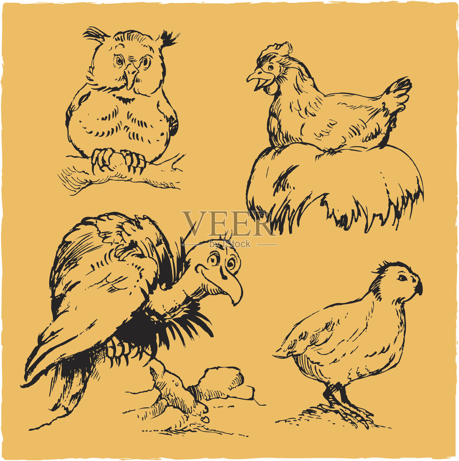 母鸡，鹌鹑，猫头鹰和秃鹫设计元素图片