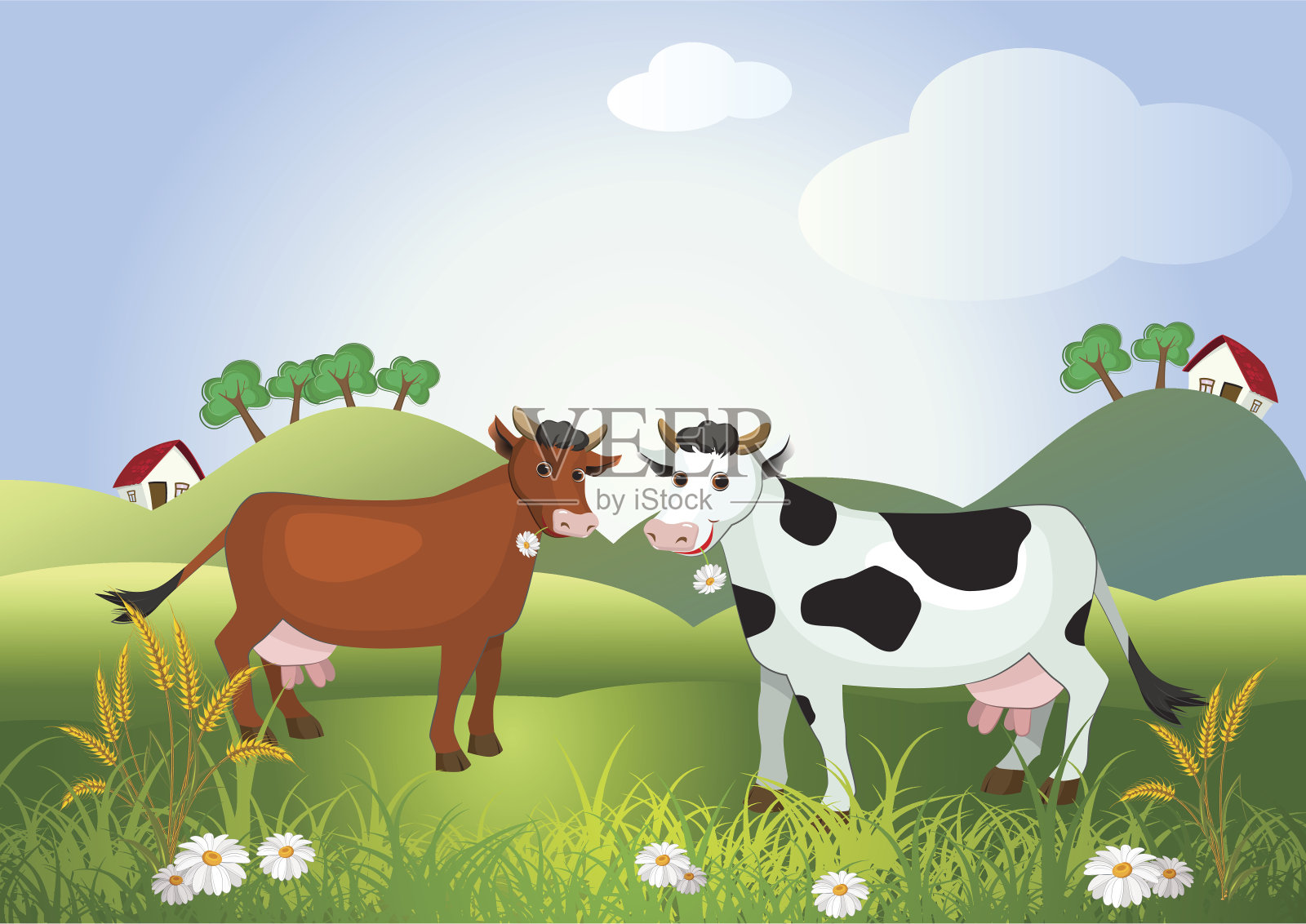 牧场上的牛插画图片素材