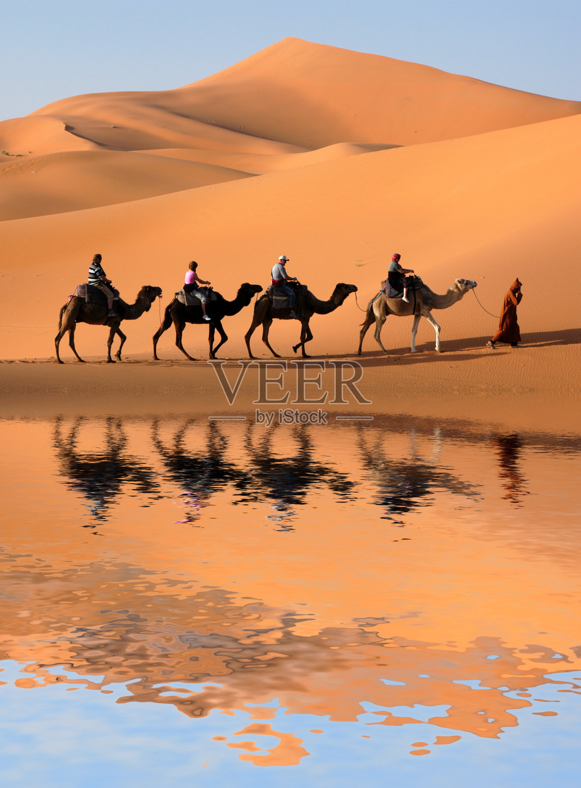 骆驼商队反映在撒哈拉沙漠的绿洲照片摄影图片