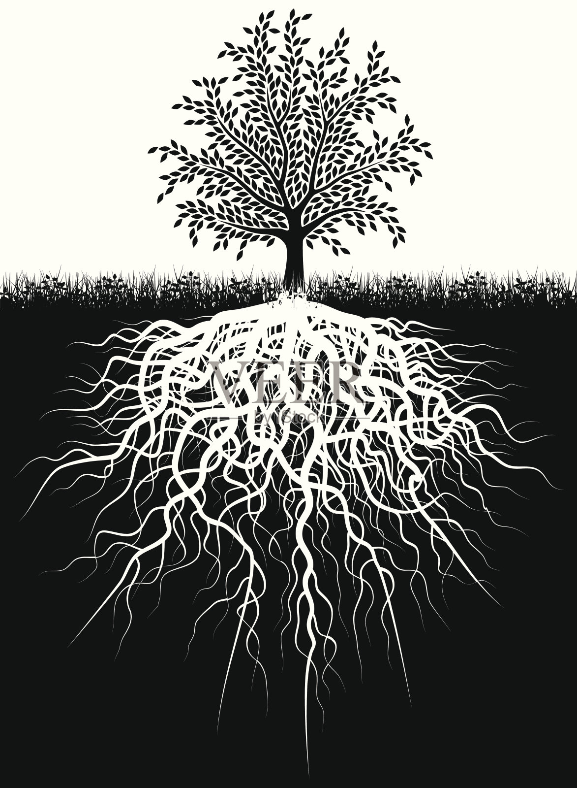 黑白插图的树和根在地面插画图片素材