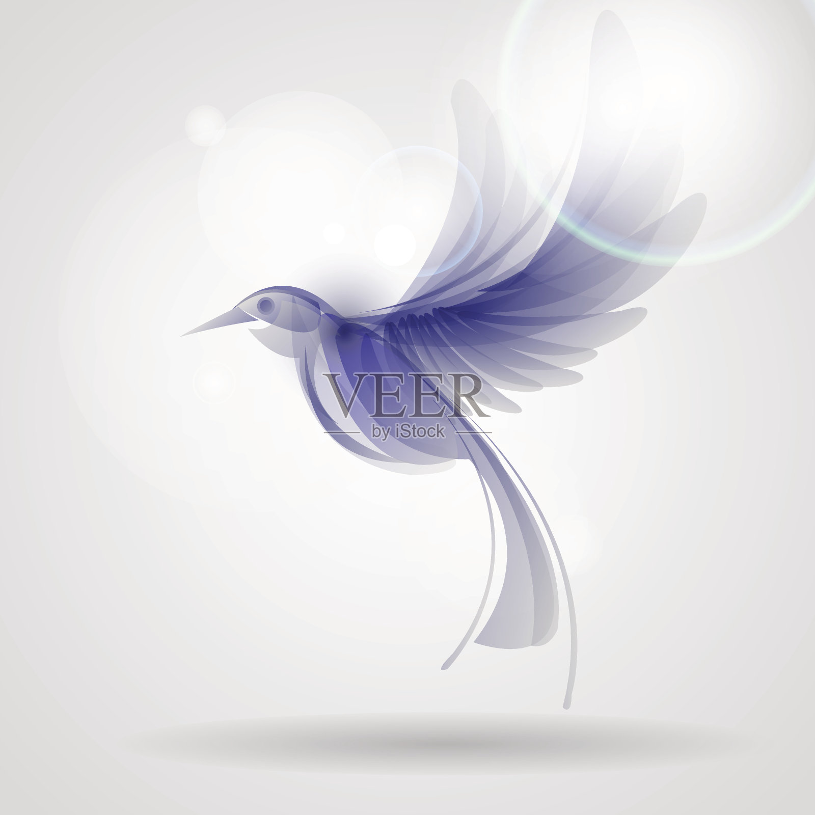 蓝色喷点鸟插画图片素材