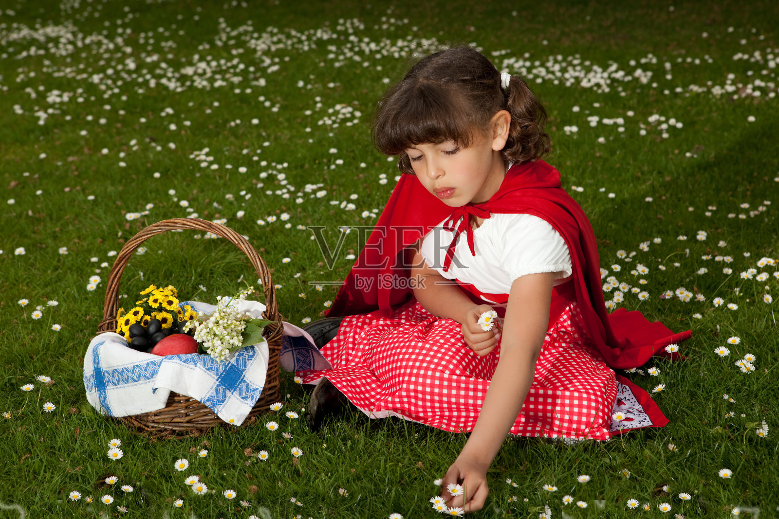 小红帽摘雏菊照片摄影图片