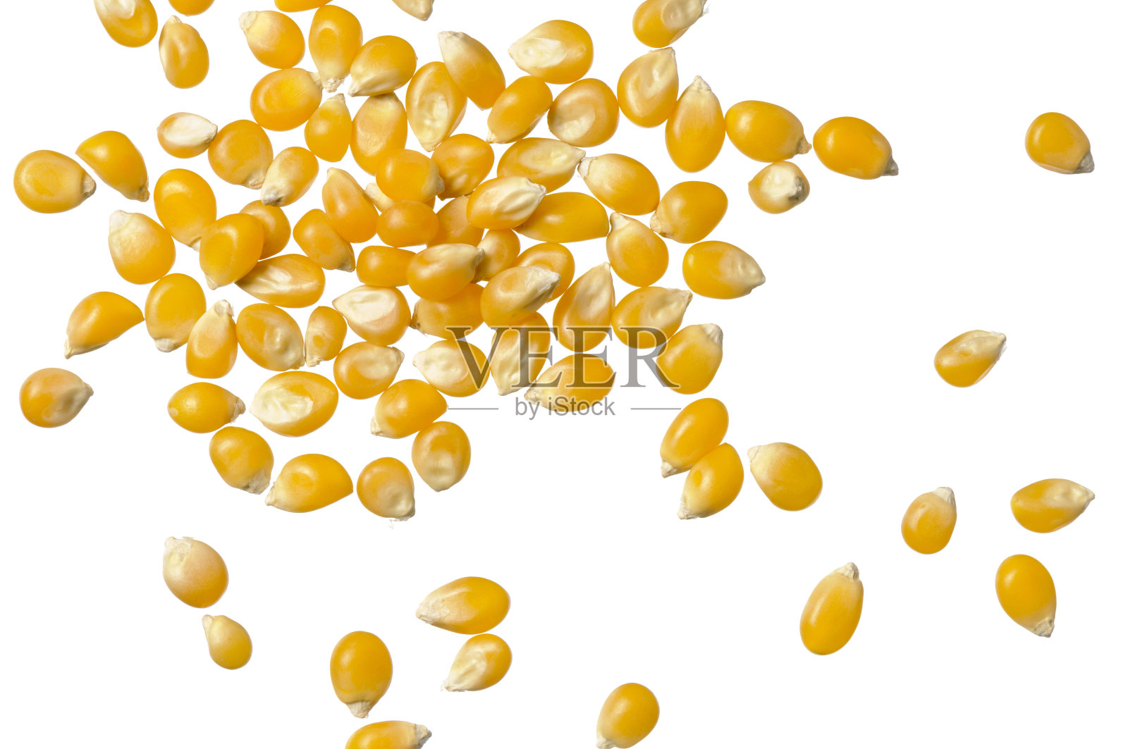 白色的玉米粒照片摄影图片
