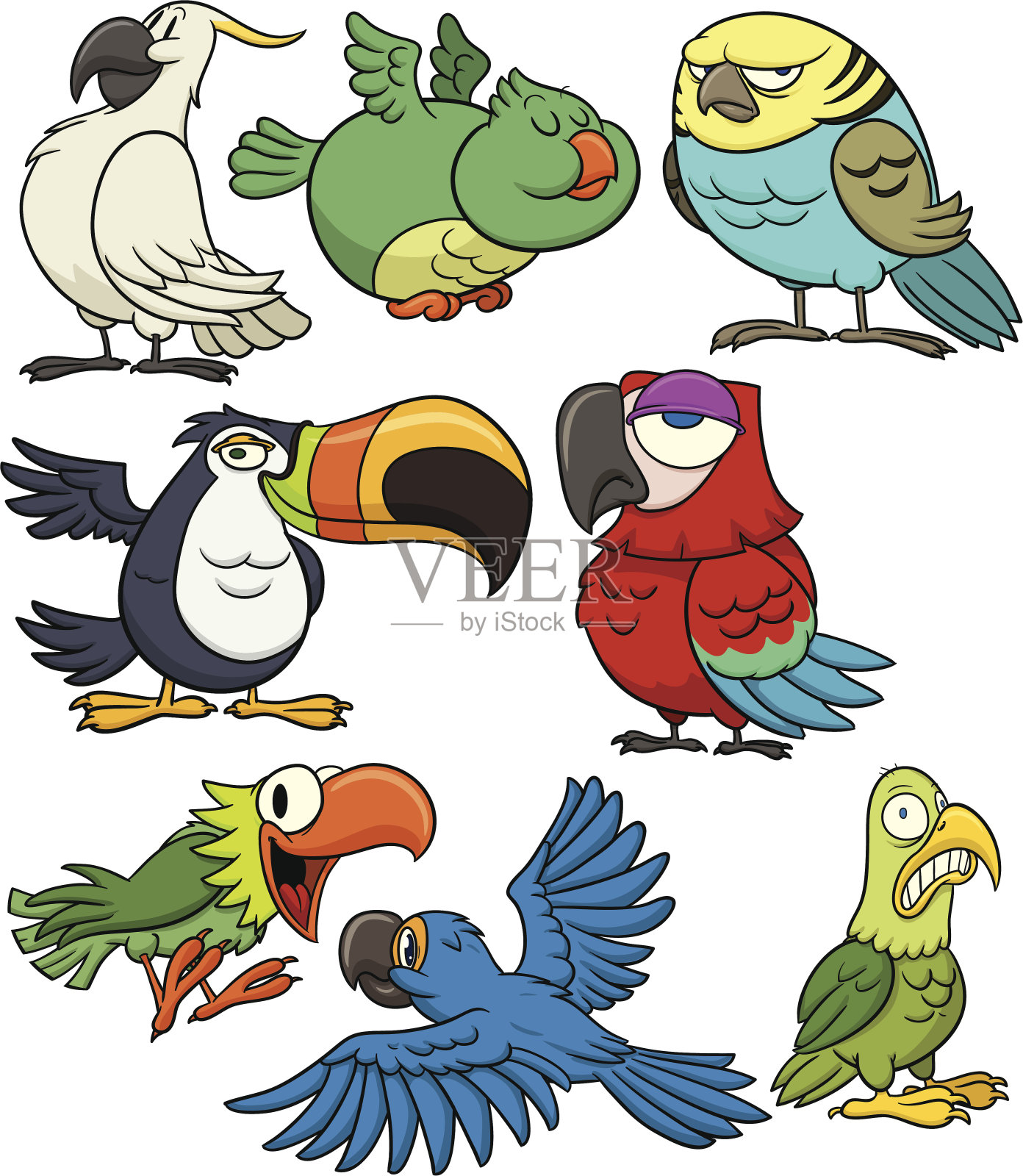 热带鸟插画图片素材
