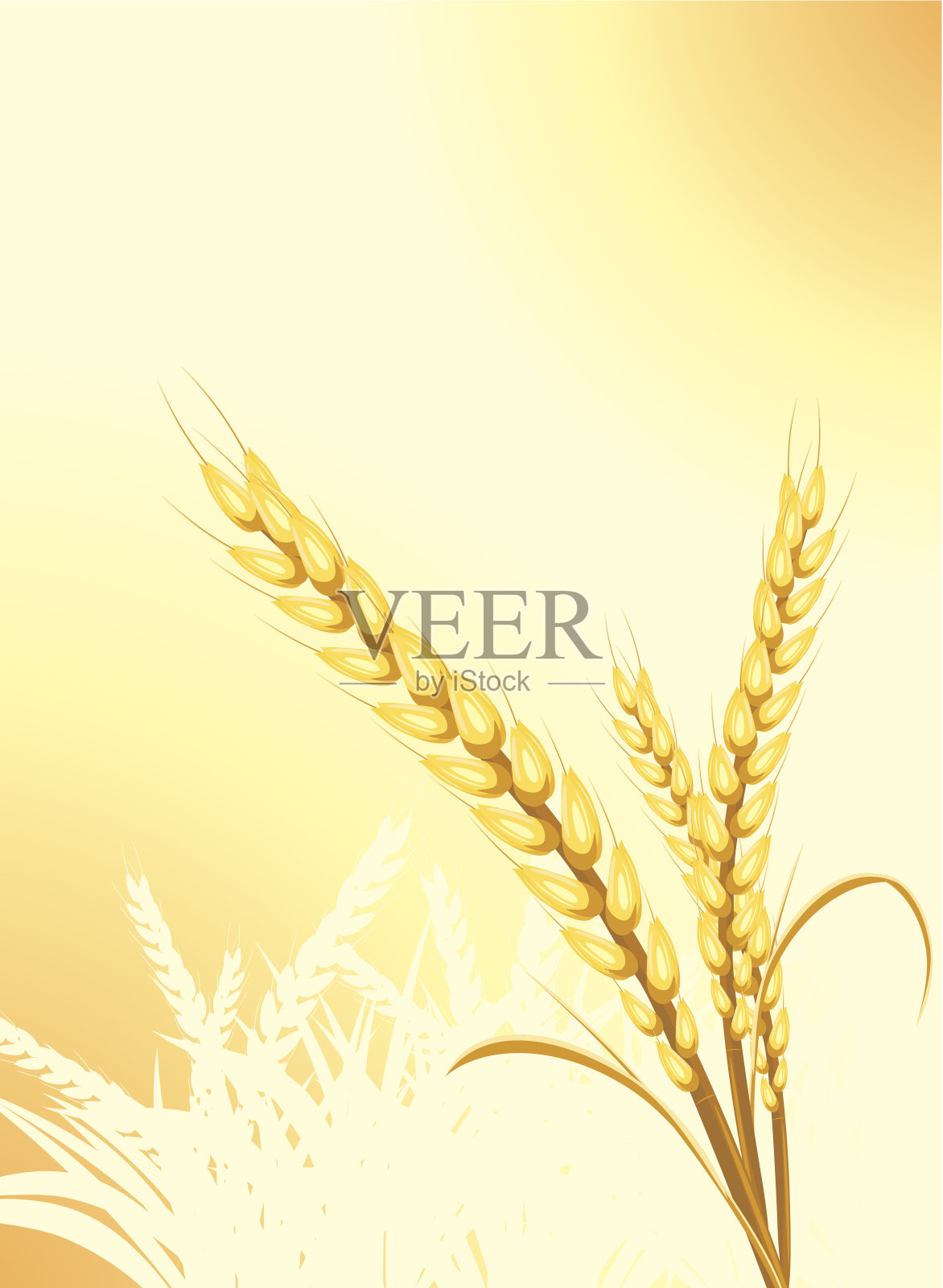 小麦穗的抽象背景插画图片素材