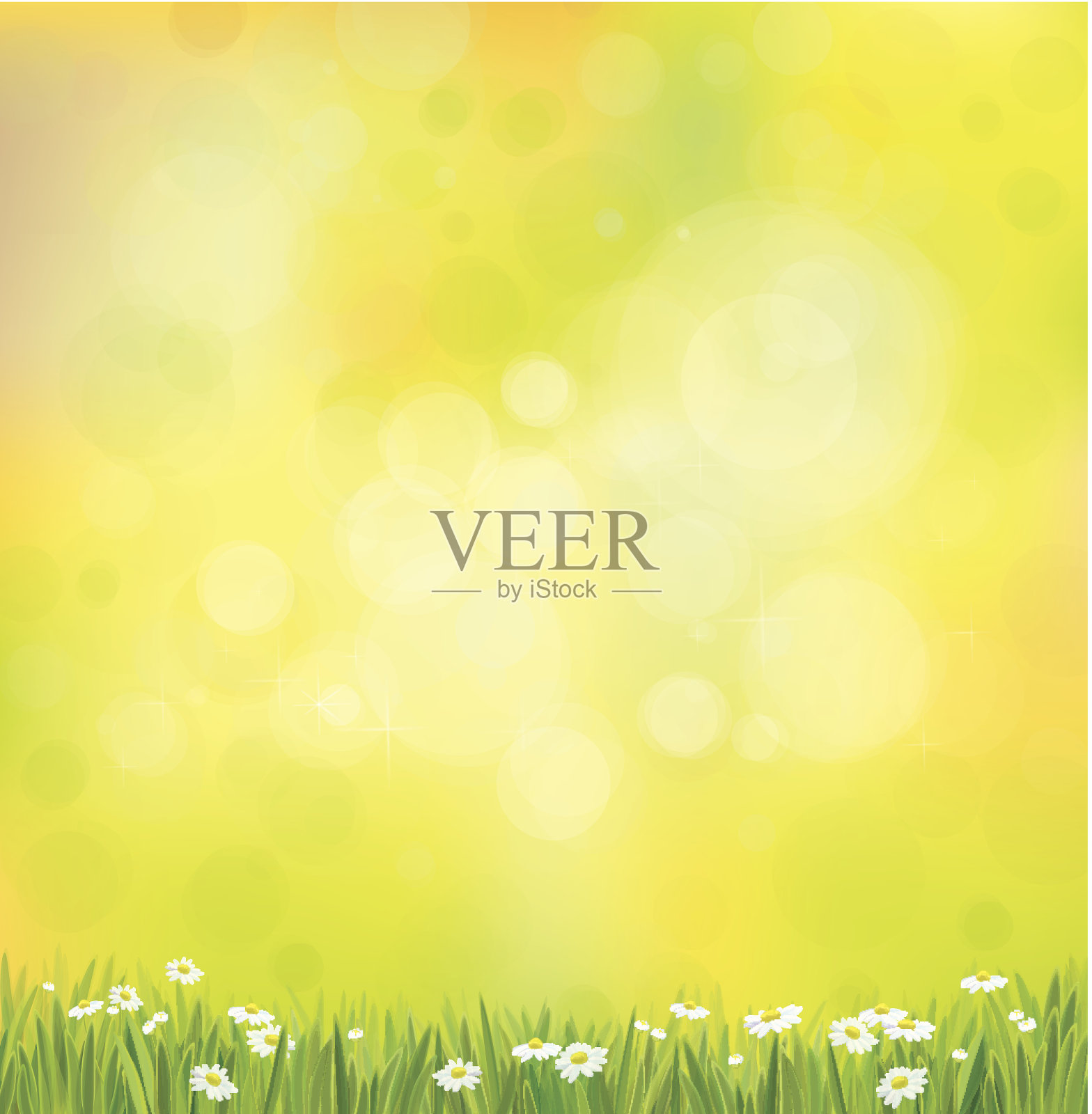 矢量阳光背景草和洋甘菊。插画图片素材