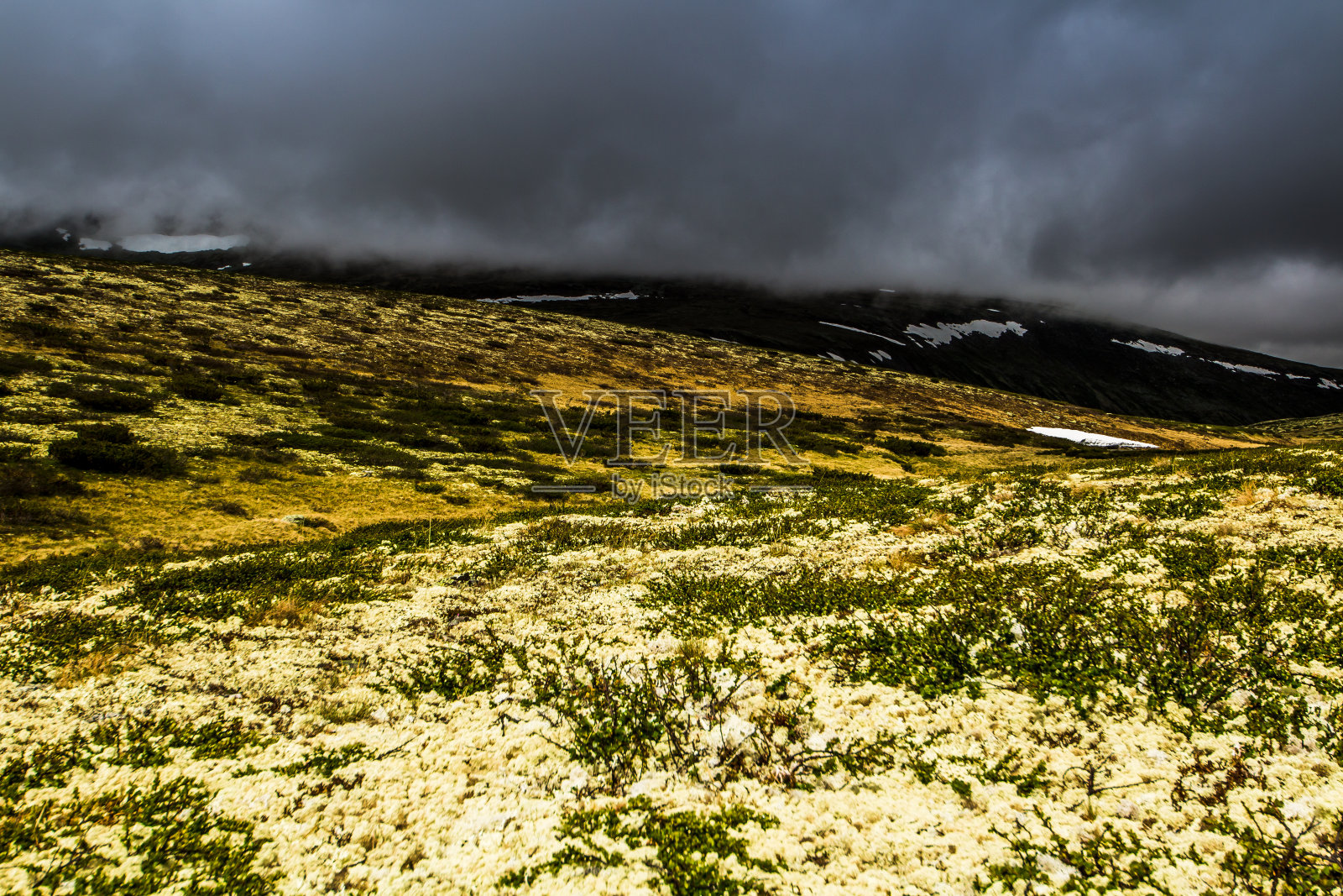 Rondane、挪威山照片摄影图片