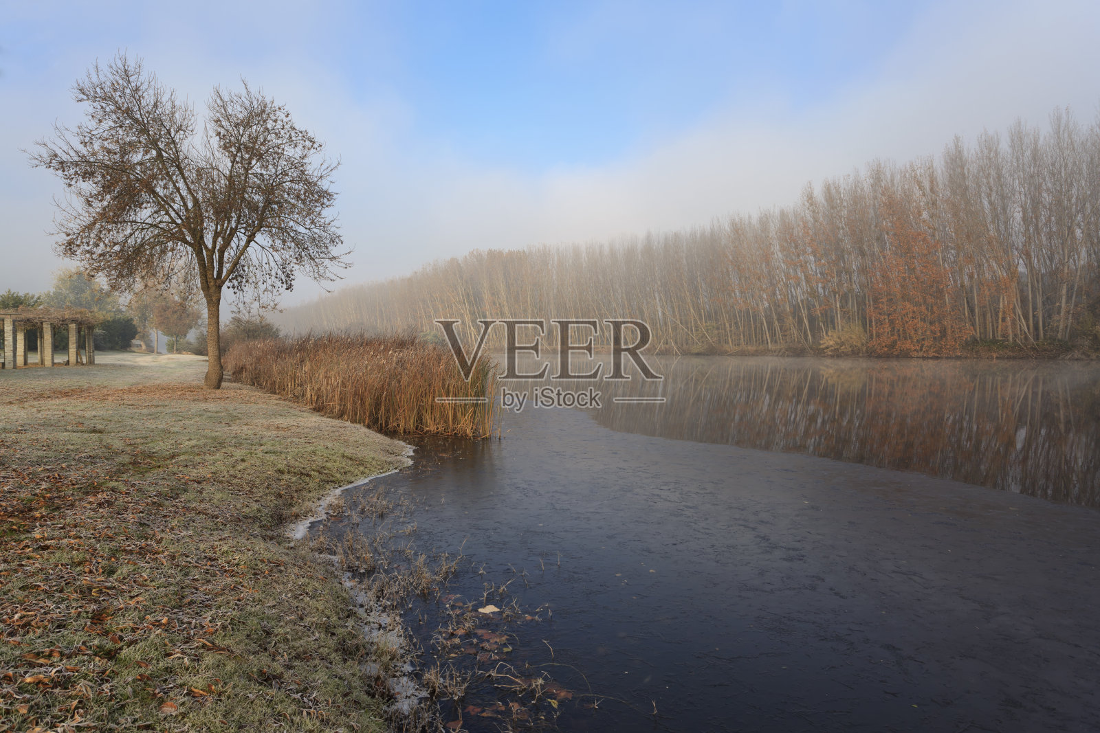 有雾的河景在一个霜冻的早晨照片摄影图片
