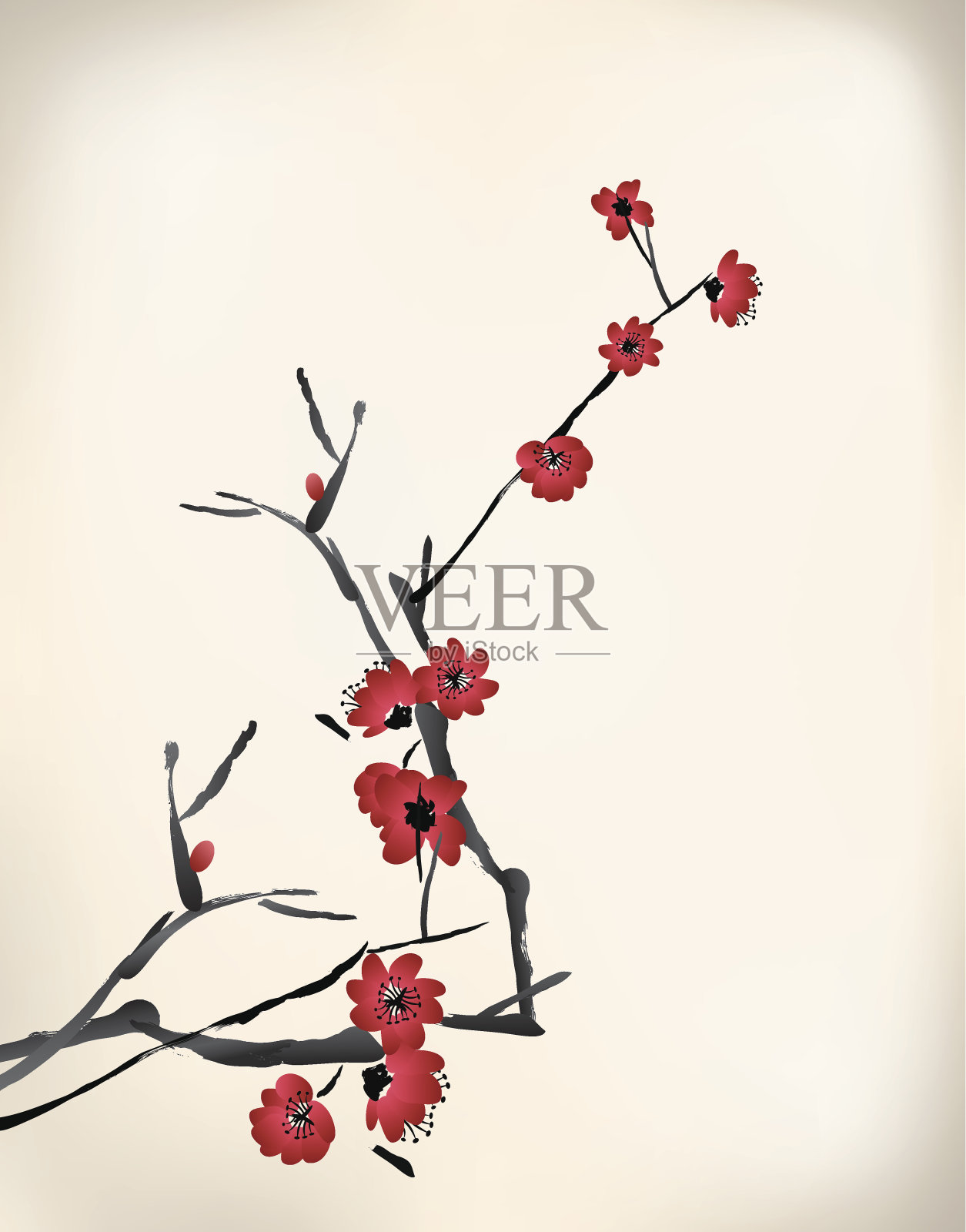 在白色背景上绘有红色花朵的树枝插画图片素材