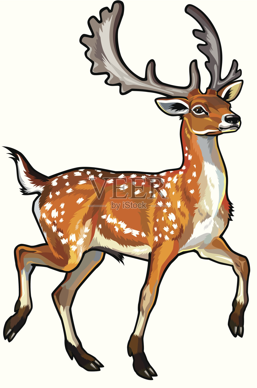 小鹿插画图片素材