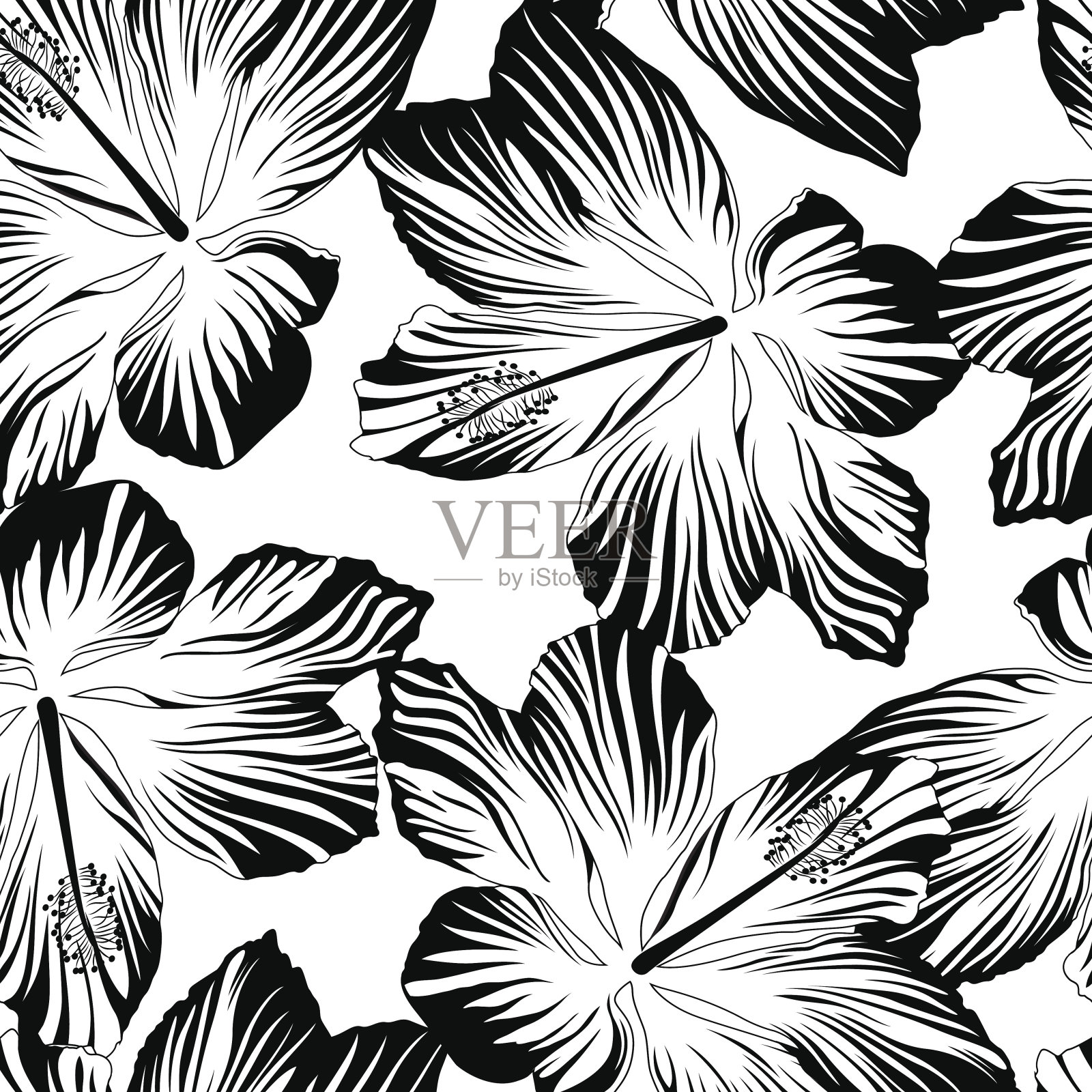 黑白热带花卉无缝图案插画图片素材