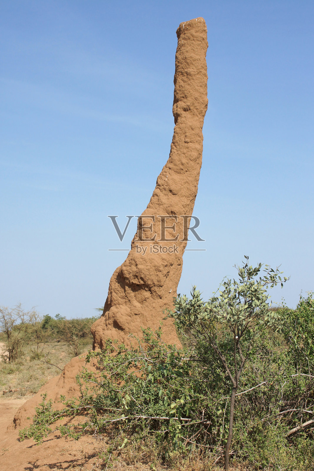 白蚁巢，埃塞俄比亚，非洲照片摄影图片