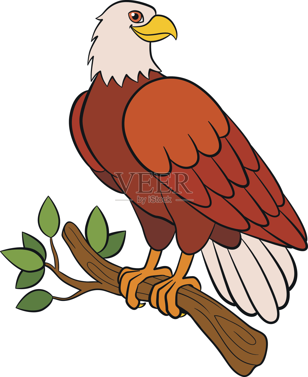 儿童卡通小鸟:鹰。可爱的秃头鹰微笑。设计元素图片