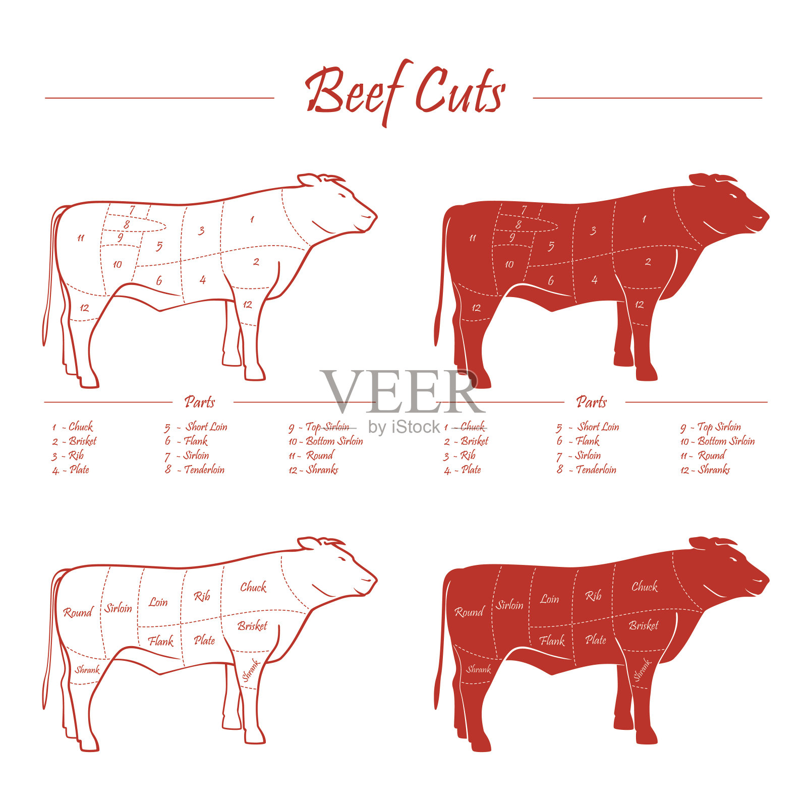 牛肉切割方案插画图片素材