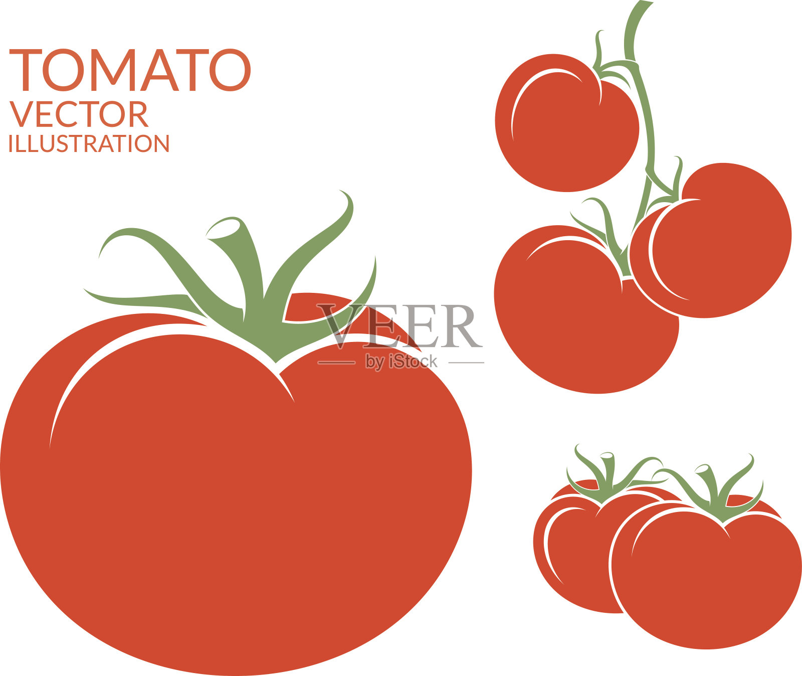 番茄。白色背景上孤立的蔬菜插画图片素材